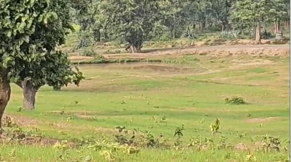 GulabGanj, Vidisha, Madhya Pradesh 464220, India
