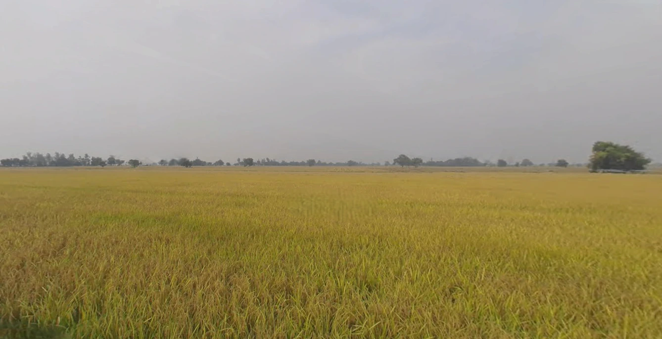 Naukerian, Punjab 152033, India