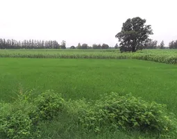 Bhagwanpur, Uttarakhand 247661, India preview 3