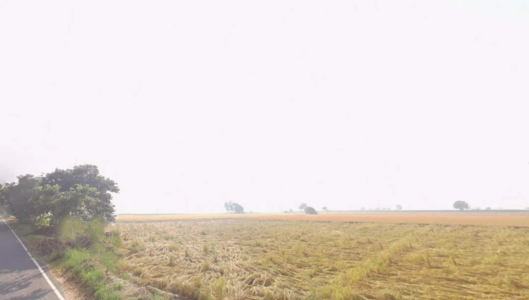 Ellenabad, Sirsa, Haryana 125055, India