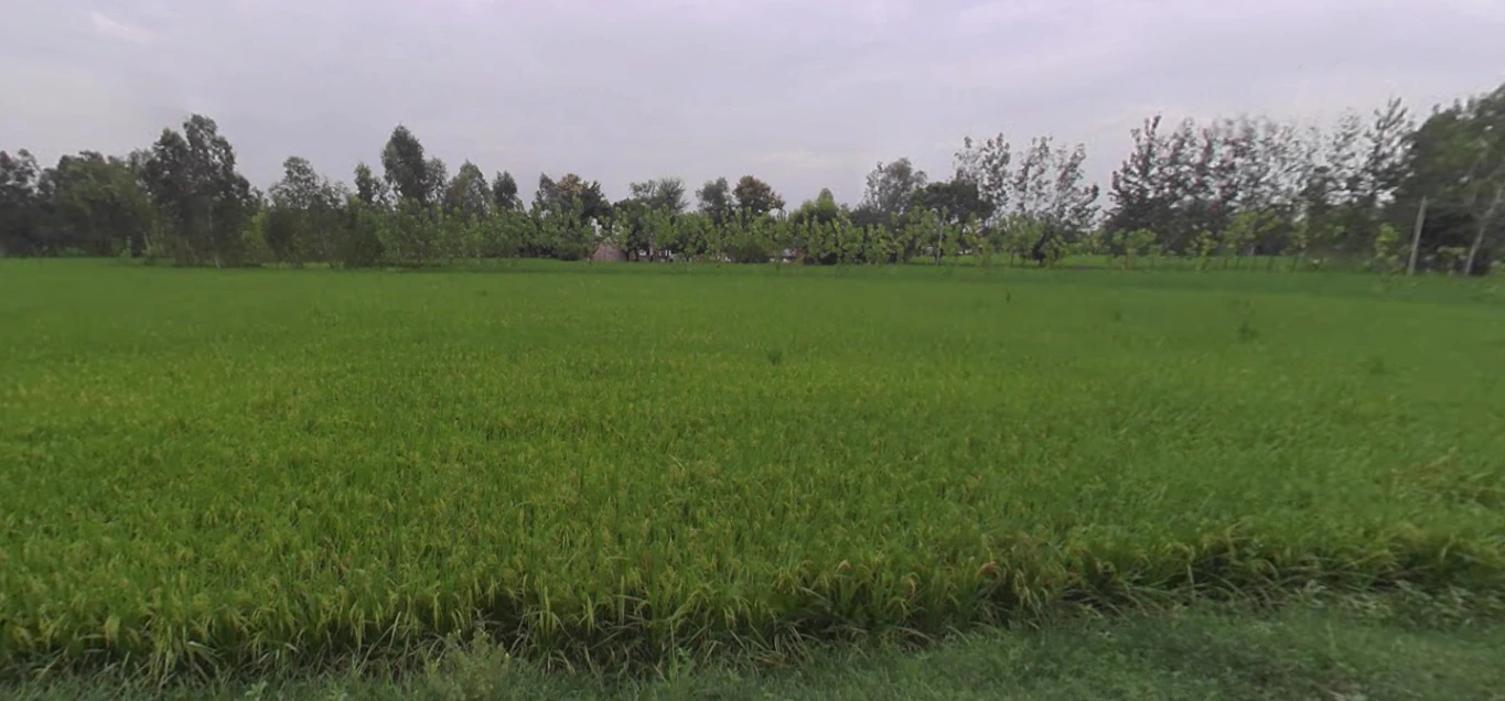 Moradabad, Uttar Pradesh, India