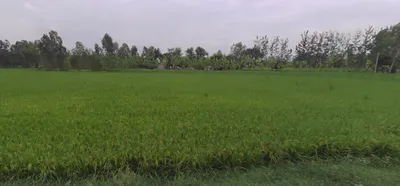 Moradabad, Uttar Pradesh, India preview 3