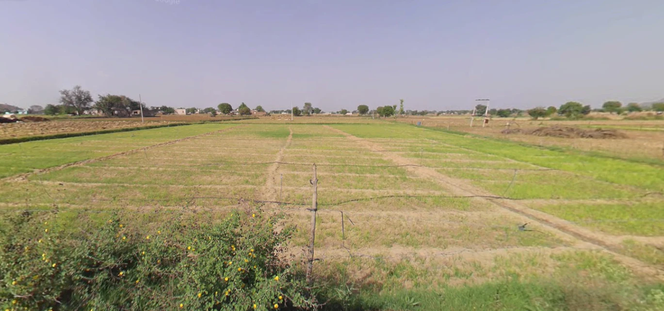 Danta Ramgarh, Rajasthan 332703, India
