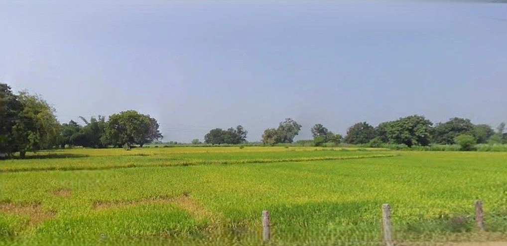 Baberu, Uttar Pradesh 210121, India