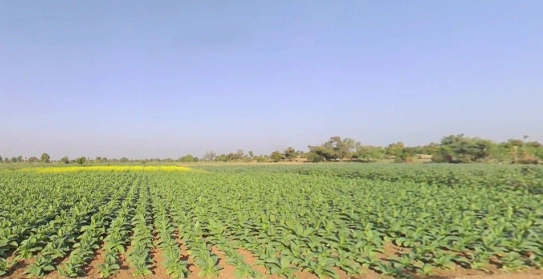 Sehore, Madhya Pradesh 466001, India preview 3