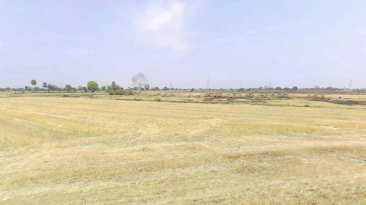 Barnagar, Madhya Pradesh 456771, India