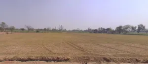 Bihta, Bihar 801103, India preview 2