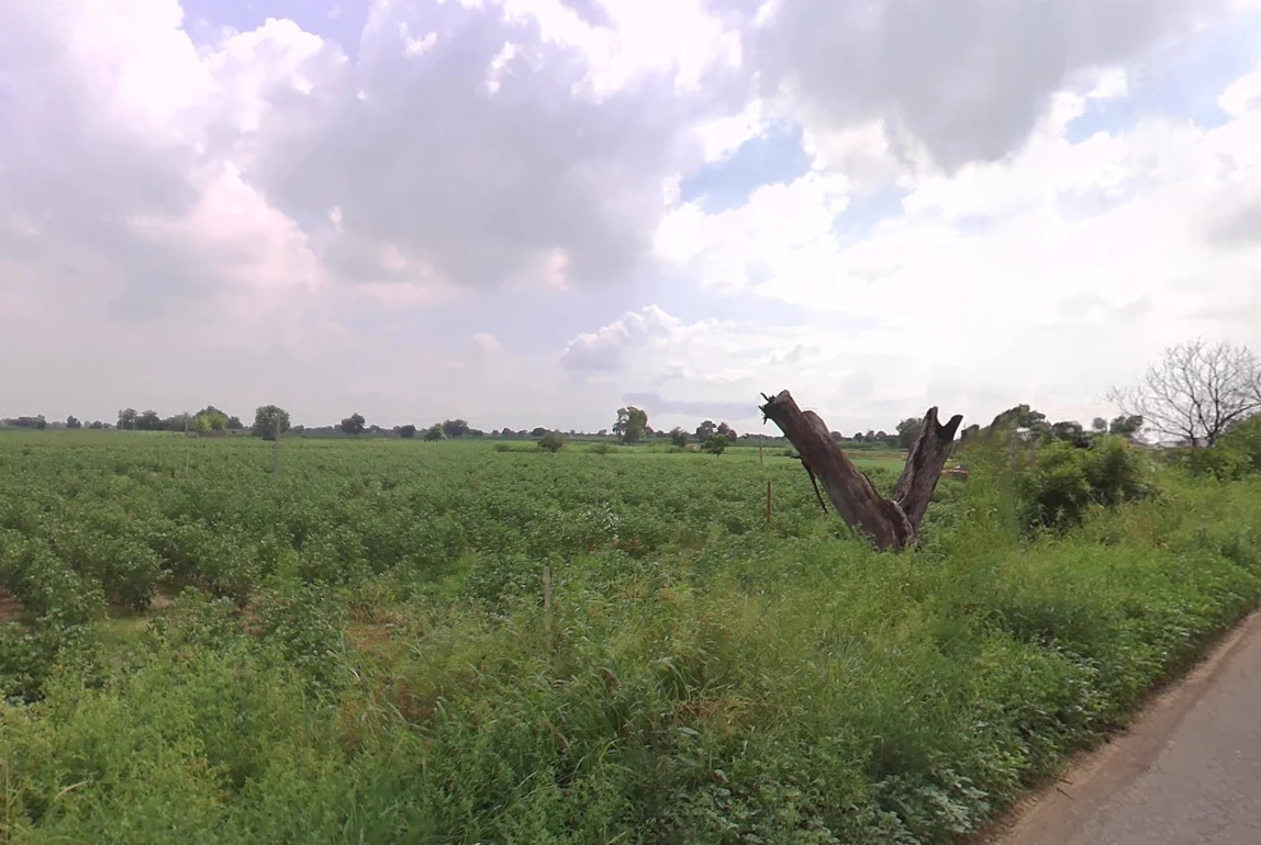 Chikanwas, Haryana 125047, India