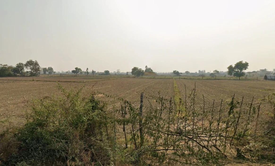 Tigrana, Haryana 127031, India