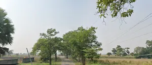 Shahpur-Hathiyakandh Sarai Rd, Baluwa, Bihar, India preview 2