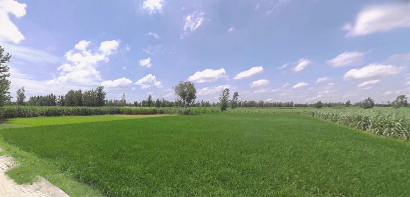 Bhagwanpur, Uttarakhand 247661, India