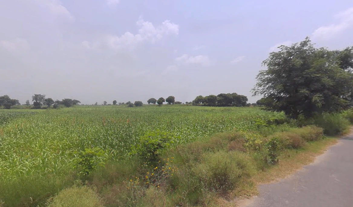 Khokiyaka, Haryana 121103, India