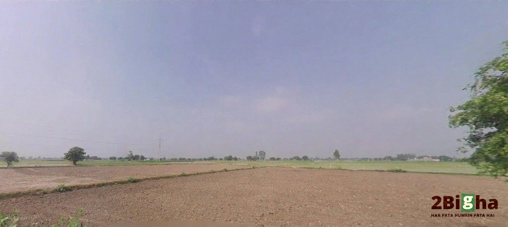 Geong, Haryana 136027, India
