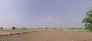 Geong, Haryana 136027, India preview 3