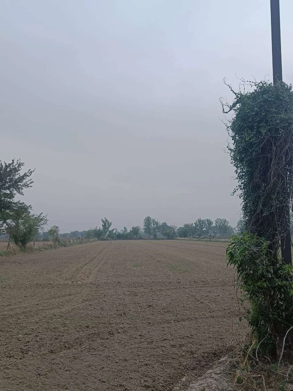 Ajijpur, Uttar Pradesh, India