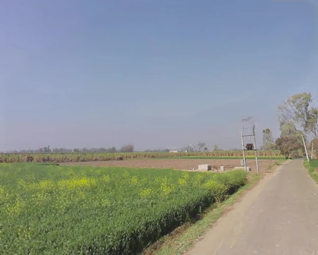 Mawana, Uttar Pradesh, India