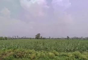 FWX8+PP Suhas, Uttar Pradesh, India preview 3