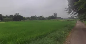 Kanpur - Lucknow Rd, Nawabganj, Uttar Pradesh, India preview 2