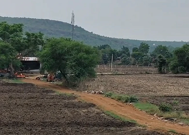 Saktara, Panna, Madhya Pradesh 488333, India