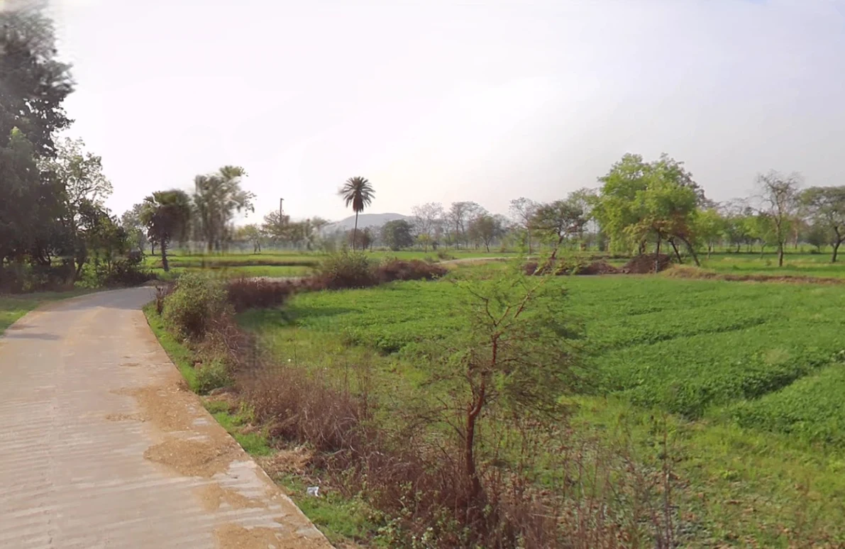 Kosa, Chhattisgarh, India