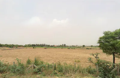 Raiseena, Haryana 122102, India preview 2