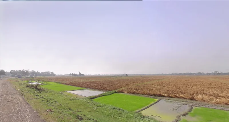 Natagachi, West Bengal 743613, India preview 3