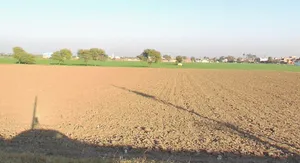Ghatabillod, Madhya Pradesh 454773, India preview 2