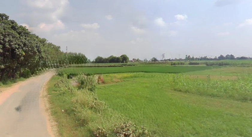 Budhana, Uttar Pradesh 251309, India