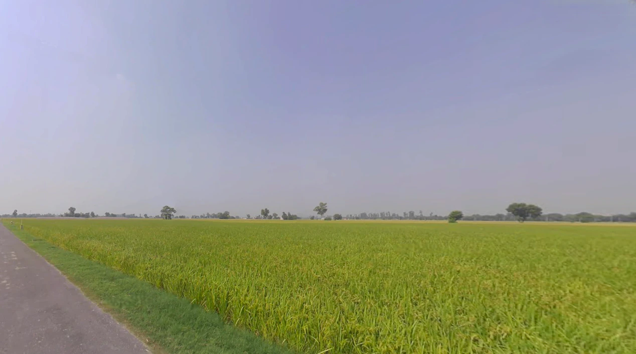 Lehragaga, Punjab 148031, India