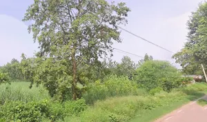 Rampur Maniharan Dehat, Uttar Pradesh 247451, India preview 3