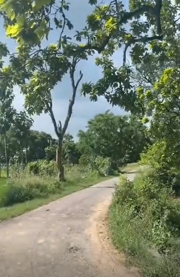 Sirsa, Lucknow, Uttar Pradesh 226302, India