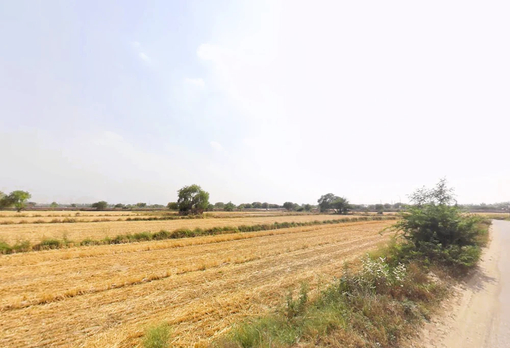 Tajpur Khurd, Delhi, 110071, India