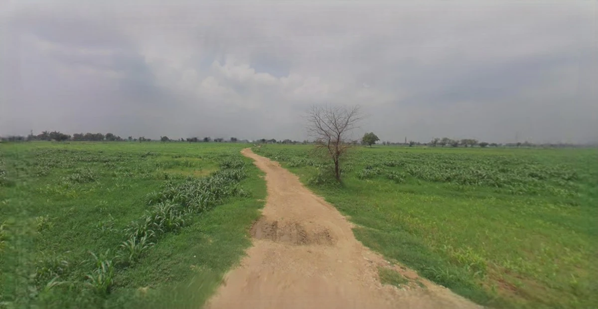 Mandsaur, Madhya Pradesh, India