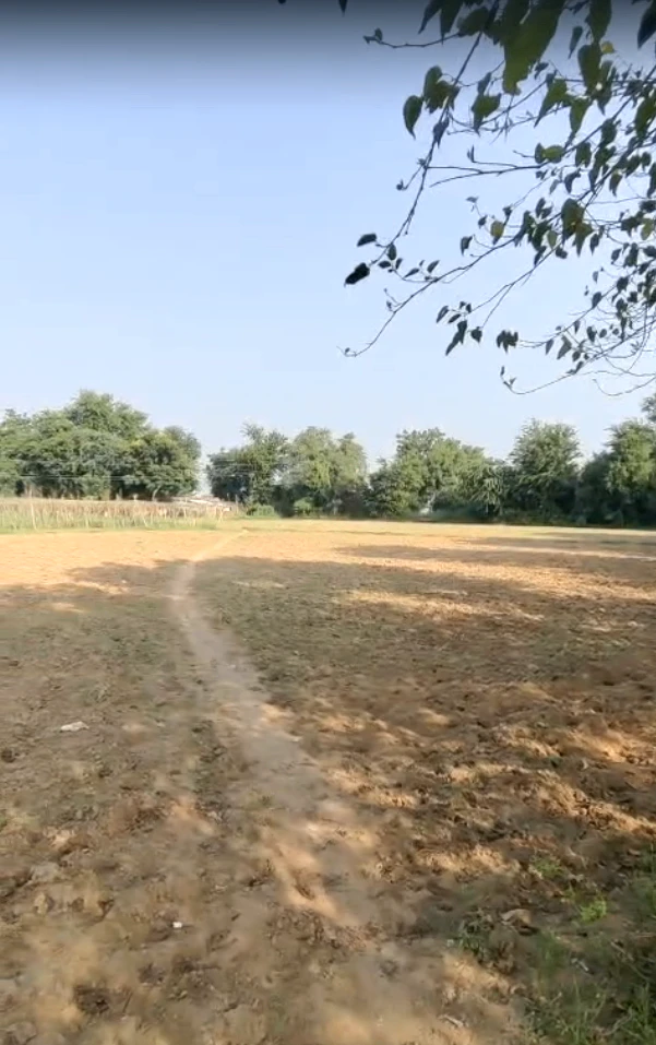 QMJH+9J Dedarda, Kheda, Gujarat, India