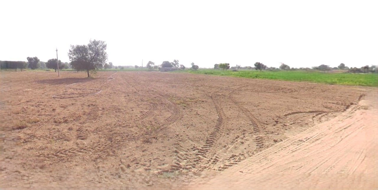 Jhajjar, Haryana 124103, India