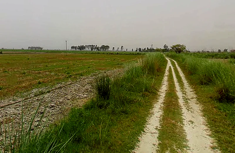 Hastinapur, Uttar Pradesh 250404, India preview 2