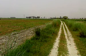 Hastinapur, Uttar Pradesh 250404, India preview 2