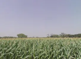 Bahadurgarh, Uttar Pradesh 245208, India preview 3