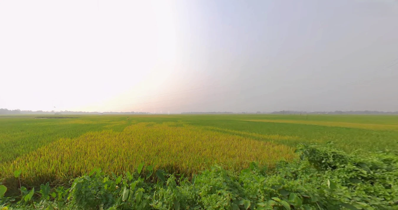 Memari, West Bengal, India