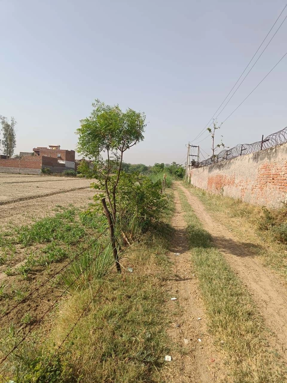Gauhari, Uttar Pradesh 281401, India
