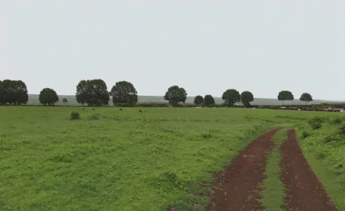 Bhikangaon, Madhya Pradesh 451331, India