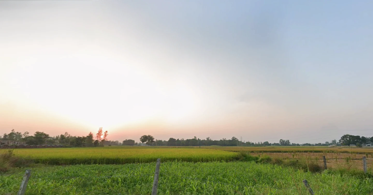 Fatehganj Pashchimi, Uttar Pradesh 243501, India