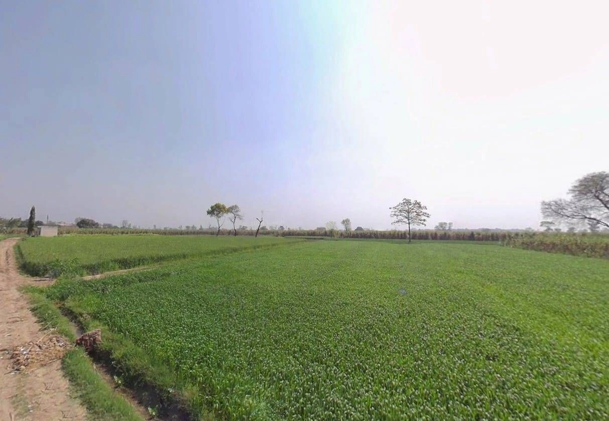 Nangla, Uttar Pradesh 250401, India preview 3