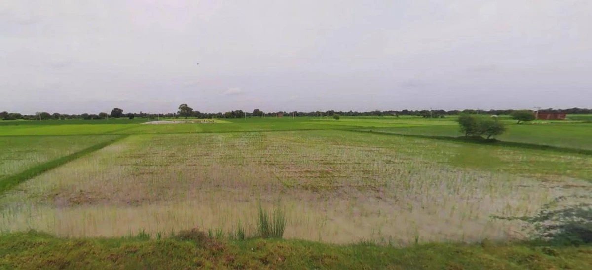 Hati, Madhya Pradesh 485221, India