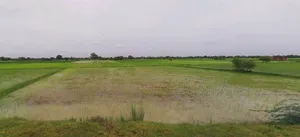 Hati, Madhya Pradesh 485221, India preview 2