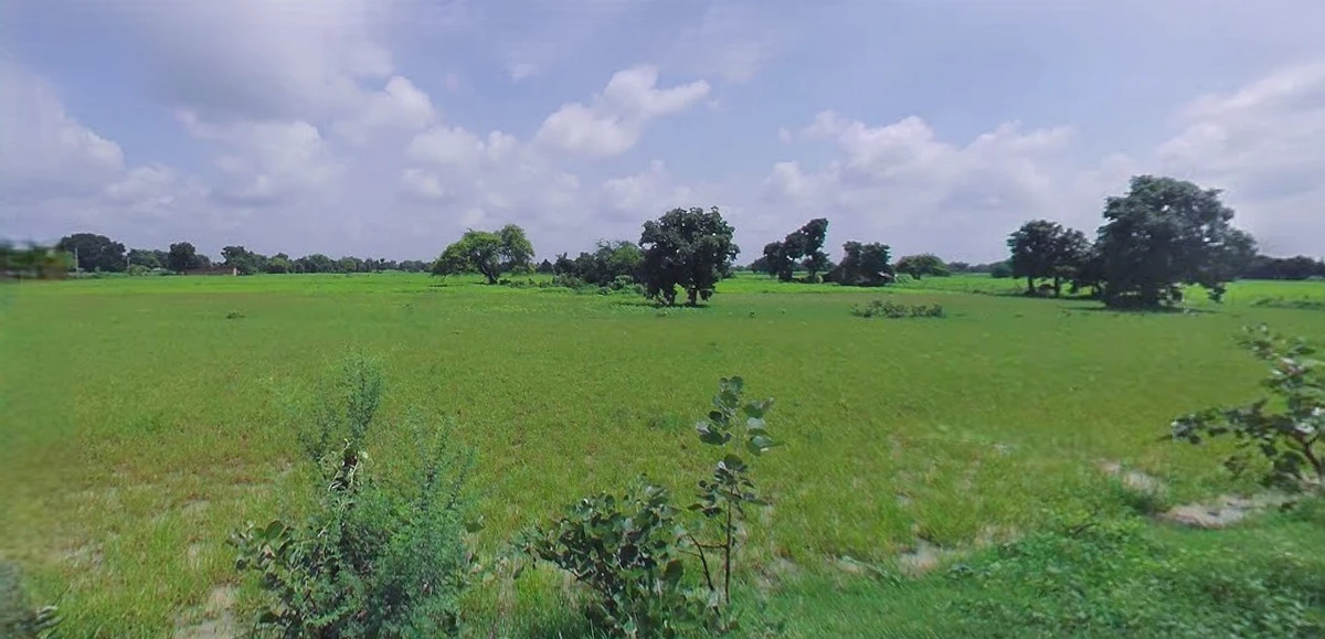 Bijnor, Uttar Pradesh 246701, India