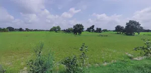 Bijnor, Uttar Pradesh 246701, India preview 2