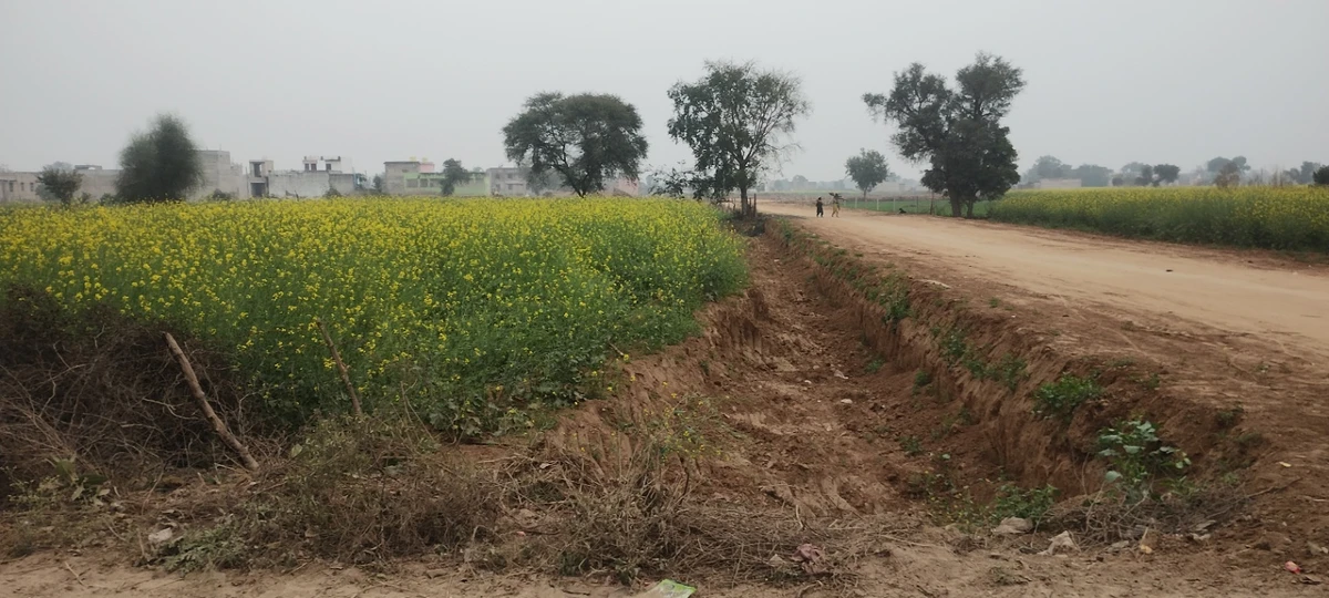 Barodameo, Rajasthan 301021, India
