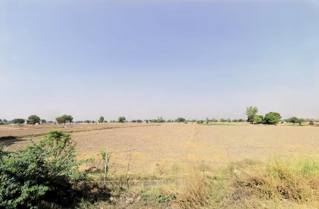 Sisai, Haryana 125049, India