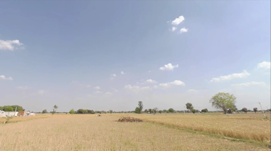 MV93+P89, Unnamed Road, Mubarikpur, Meghawas, Rajasthan 301025, India